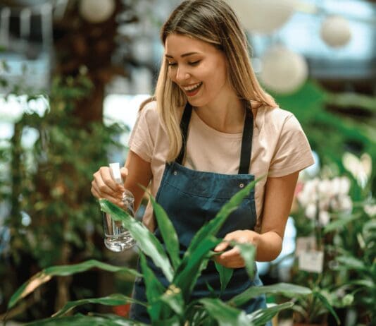 7 Effective Natural Plant-Based Supplements For Better Clarity, Focus, and Overall Health and Wellbeing