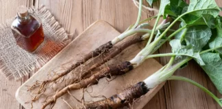 Benefits Of Bladderwrack And Burdock Root Benefits of bladderwrack and burdock root