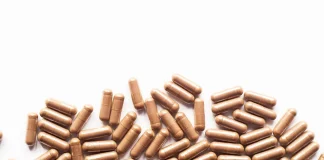 mushroom supplements for memory