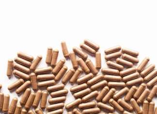 mushroom supplements for memory