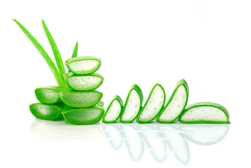 Aloevera is good for skin.
