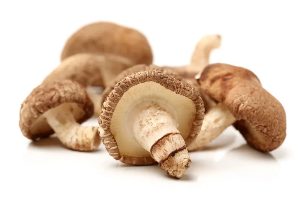 mushroom supplement reviews