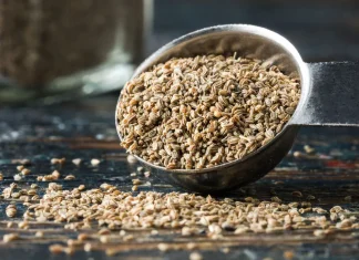 5 Important Reasons Why You Should Include Celery Seed in Your Regular Diet celery seed