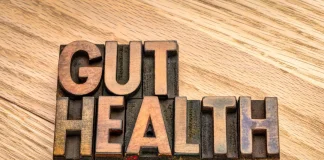 5 Things to Consider When Choosing the Best Mushrooms for Gut Health best mushrooms for gut health