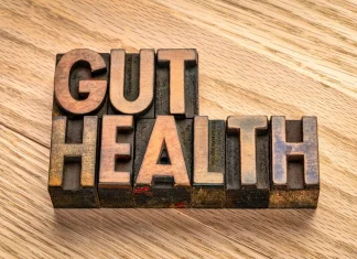 5 Things to Consider When Choosing the Best Mushrooms for Gut Health best mushrooms for gut health