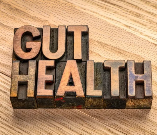 5 Things to Consider When Choosing the Best Mushrooms for Gut Health best mushrooms for gut health