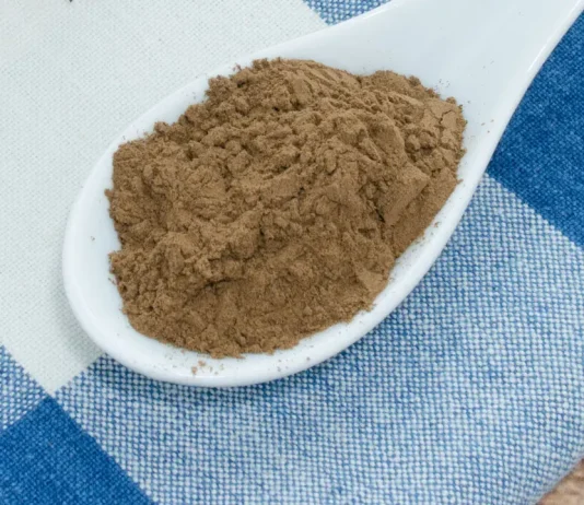 Finding the Best Reishi Powder Supplement: 5 Top Brands Reviewed Reishi powder