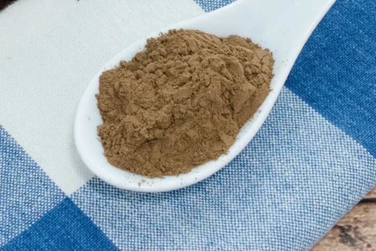 Finding the Best Reishi Powder  Supplement: 5 Top Brands Reviewed