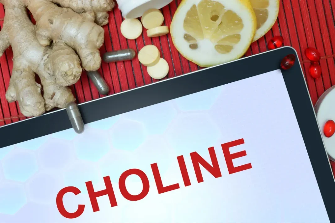 choline benefits in pregnancy.