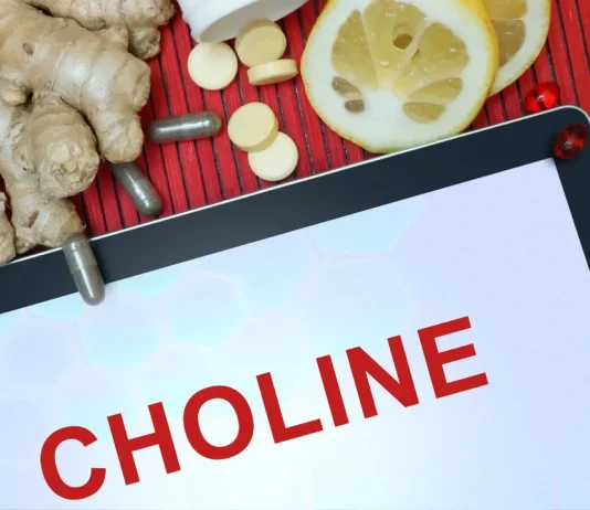 choline benefits in pregnancy.