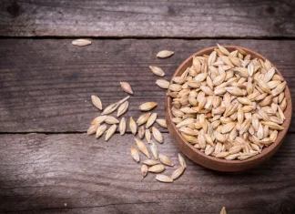 Barely Missing Your Weight Goals? 4 Big Benefits of Barley Seeds barley seeds.