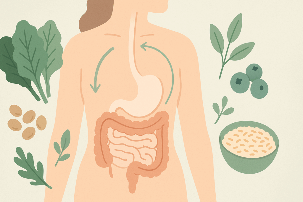 Illustration of a female digestive system surrounded by leafy greens, legumes, berries, and grains, symbolizing how fiber-rich vegan weight loss recipes support digestion and glucose balance.