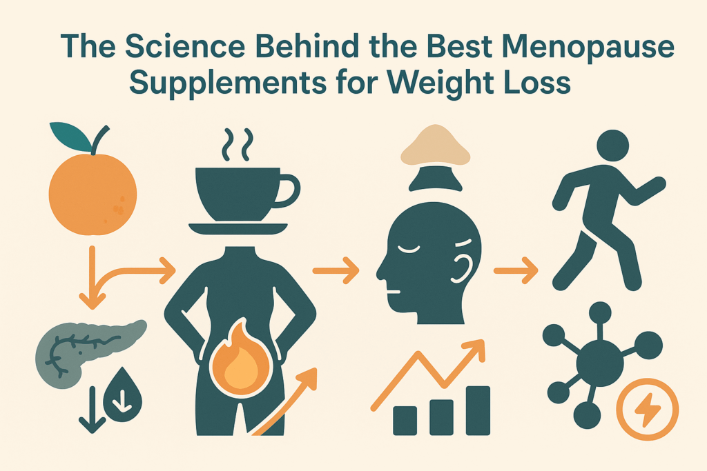 Infographic showing how menopause supplements for weight loss support insulin balance, fat burning, cortisol control, and energy metabolism.